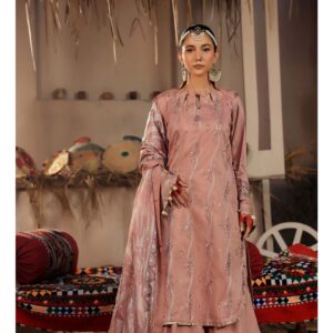 3-Piece Embriodered Viscose Suit