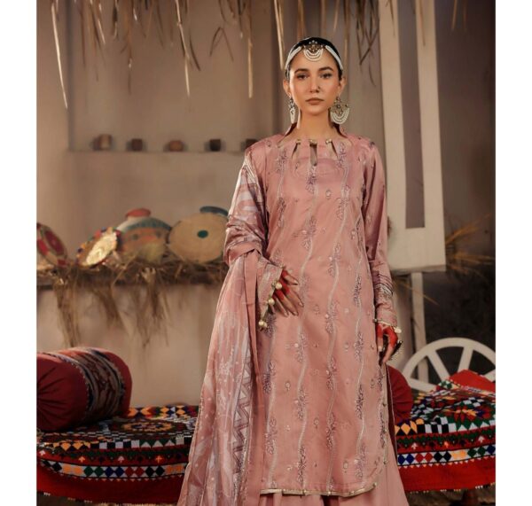 3-Piece Embriodered Viscose Suit