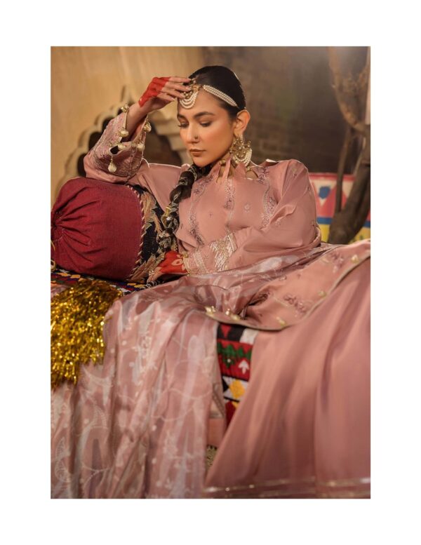 3-Piece Embriodered Viscose Suit - Image 6